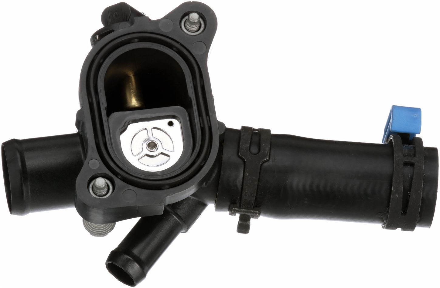 CO34996-3_BOT_A.jpg