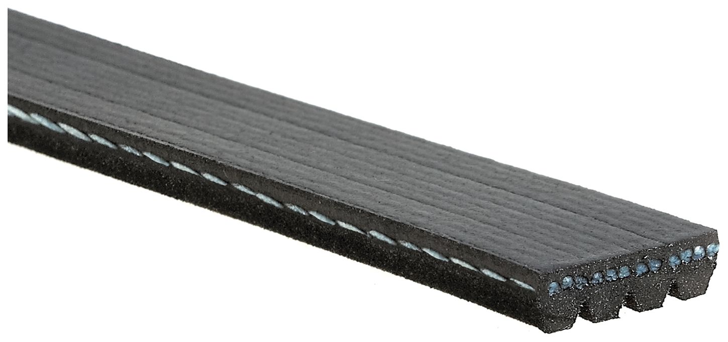 serpentine-beltimage-K040331SF-K040372SF.jpg