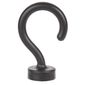 BAY2134-HOOK