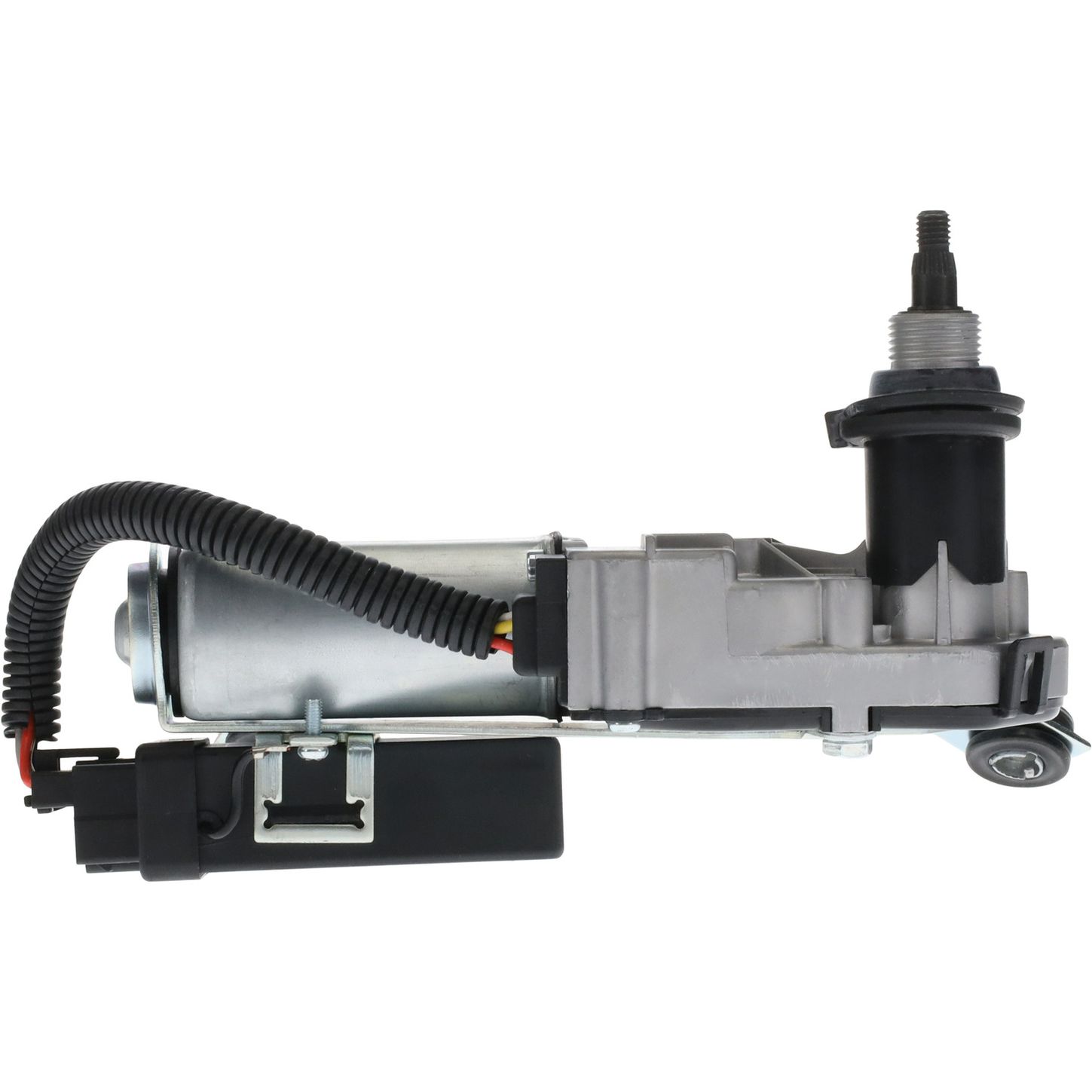 WPM1005 RIT