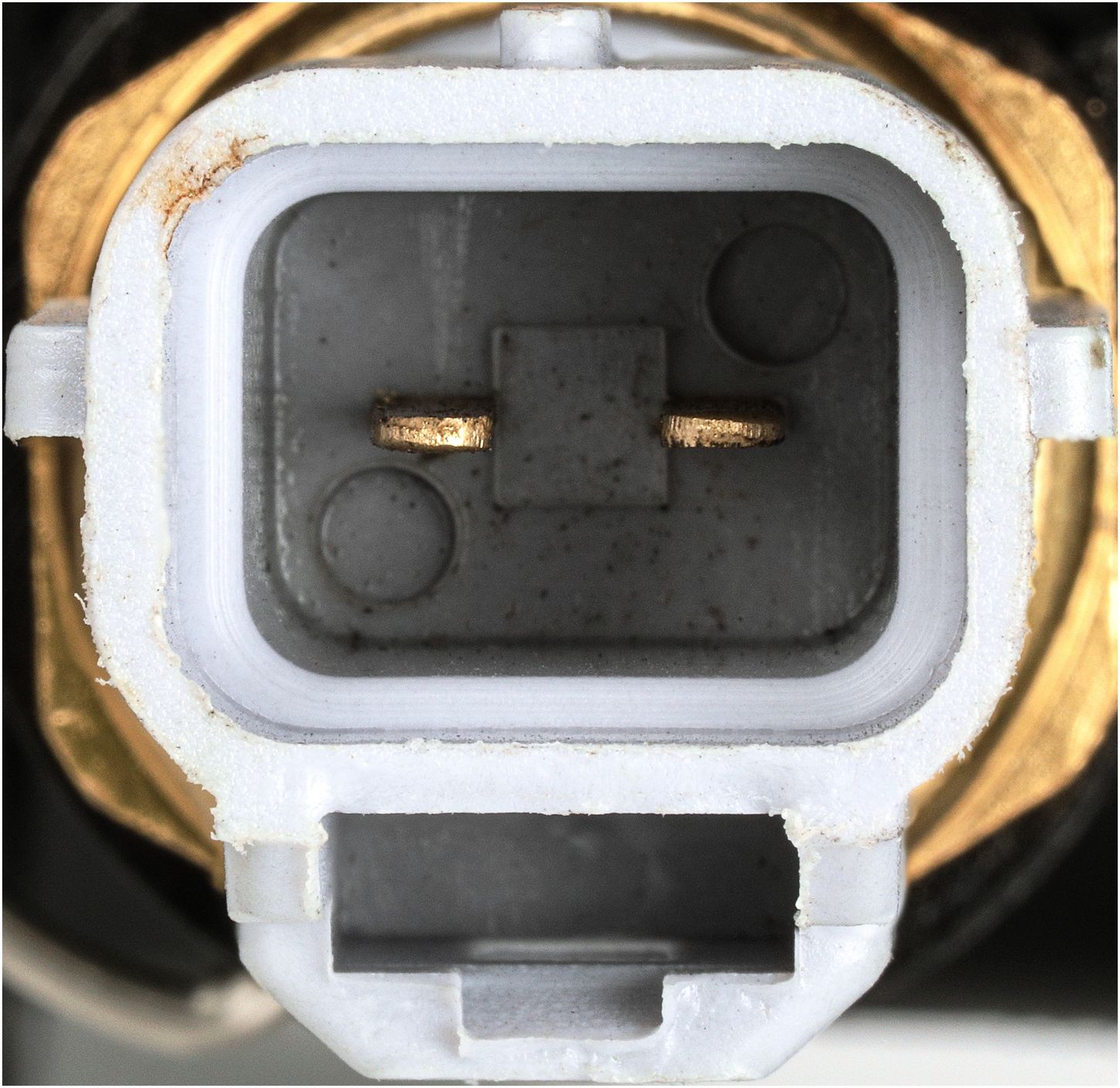 CO35050-4_CON_A.jpg