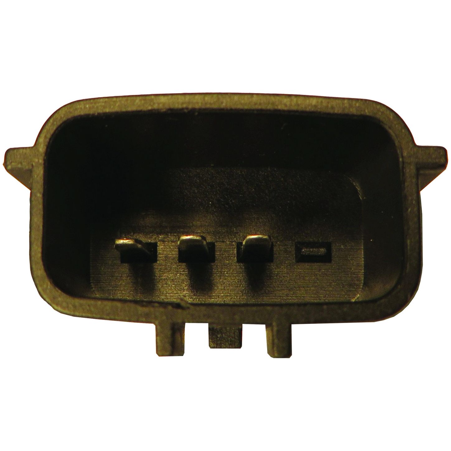 MAF10134 5