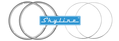 SKN008-DPF-Service-Kit-for-Detroit-Diesel-Mercedes-Benz-and-Volvo-Mack-gaskets-clamps