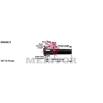 R008946R photo front 113411