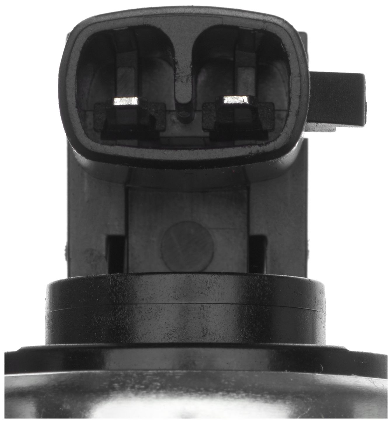 VVS259-3_CON_A.jpg