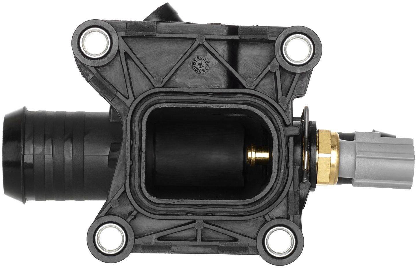CO34928-3_BOT_A.jpg
