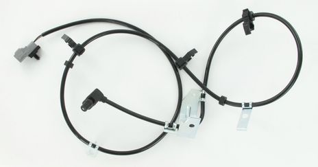 SC491_1.JPG