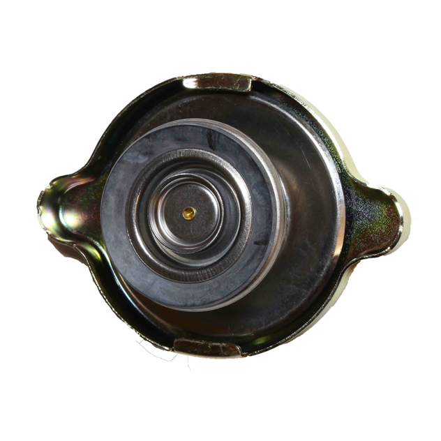 S-21181 v1