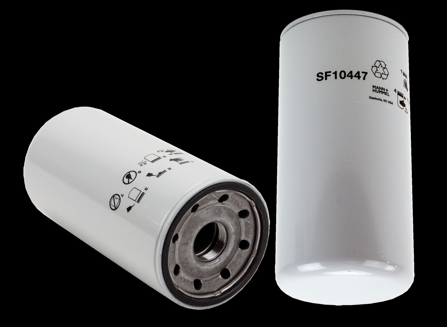 WF10447.jpg