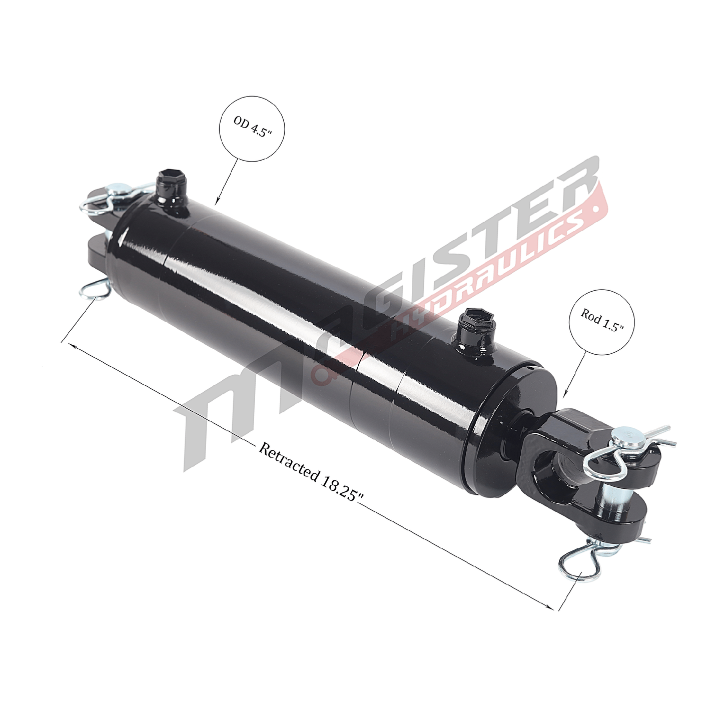 WBC 4x8 2