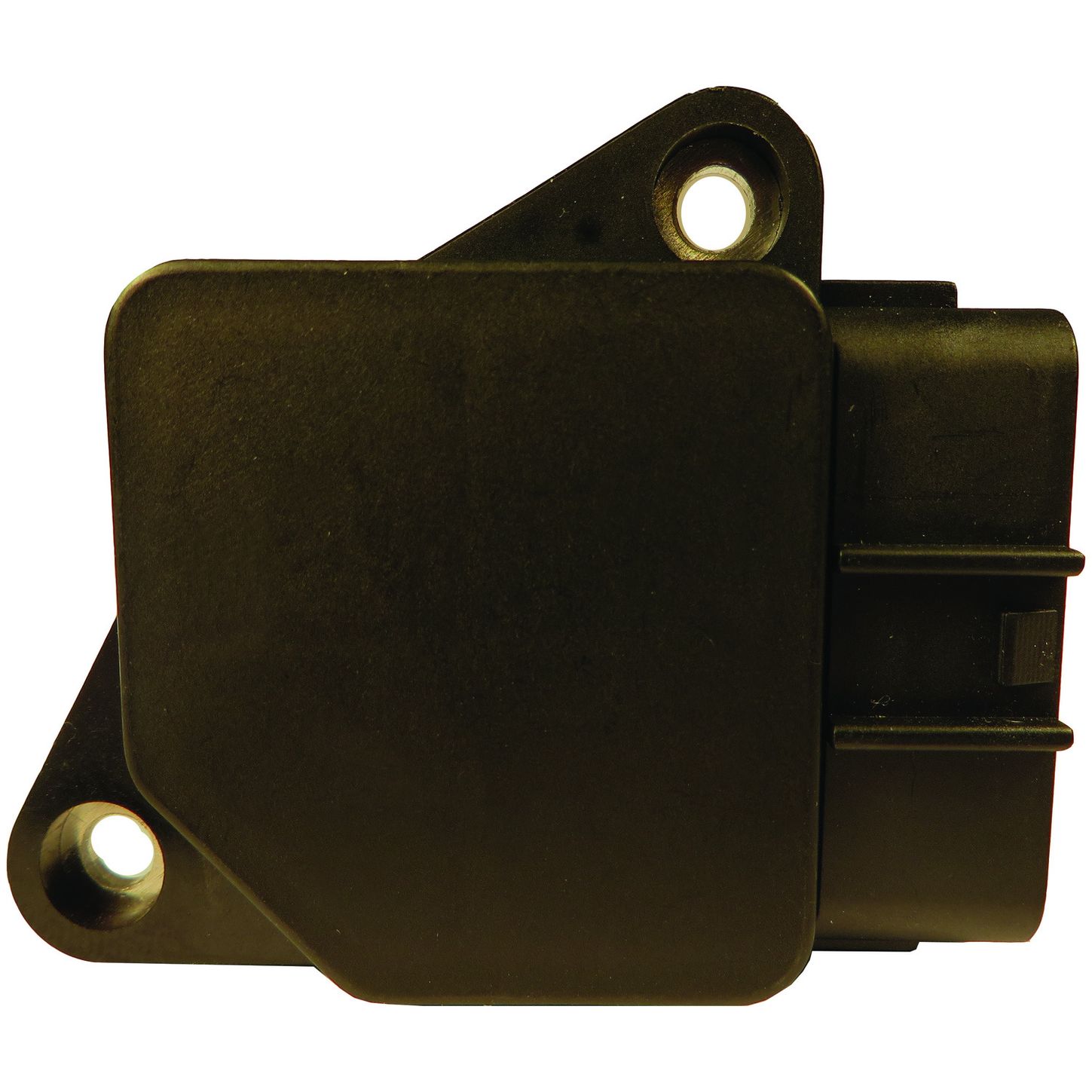 MAF10135 BAC