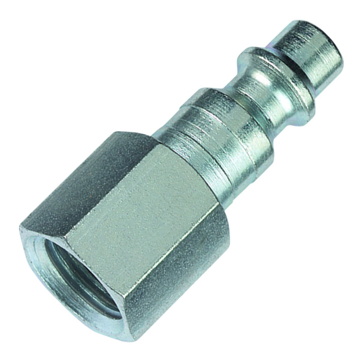 AMFLCP26_1_x-large.jpg