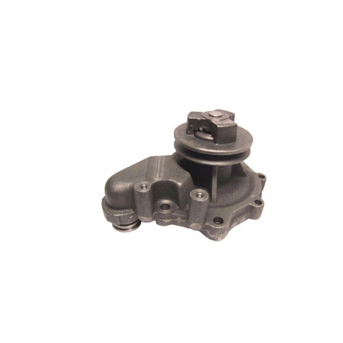 RW6314.jpg