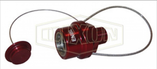 ENBL-P