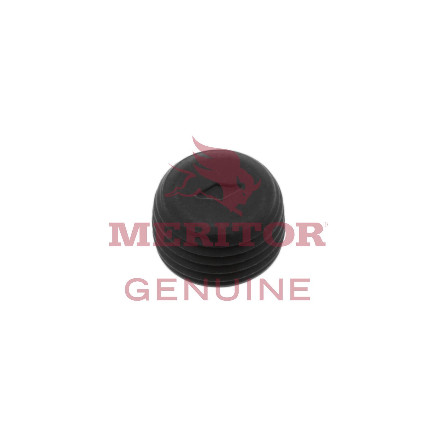 1250J1284