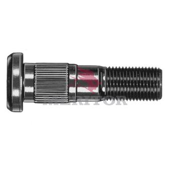 R008961 photo front 113445