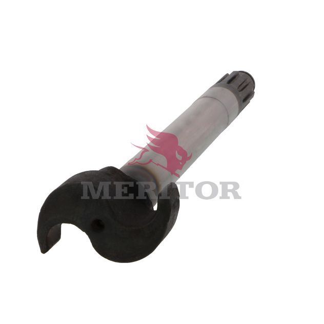 R607156 photo back 118518