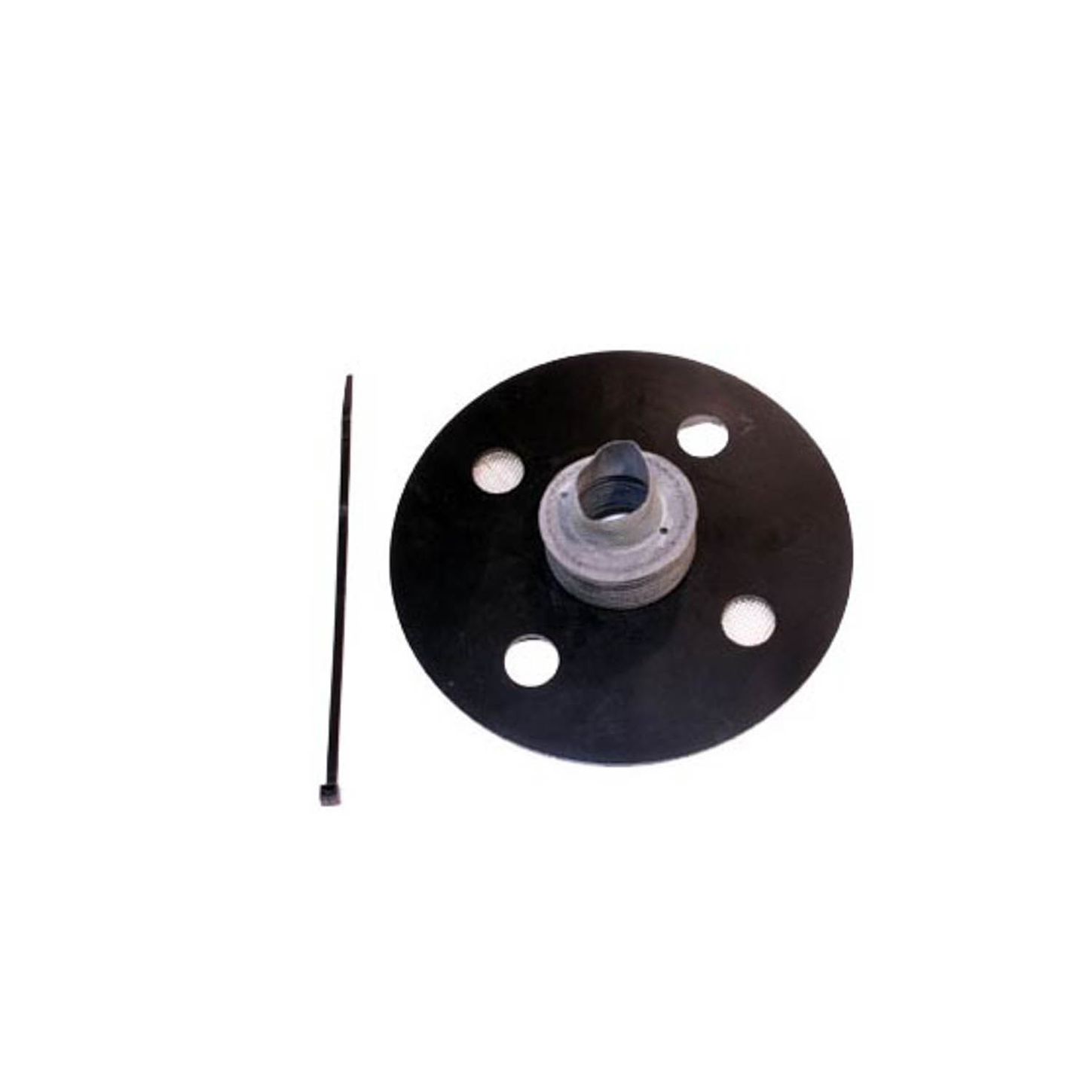 M5040486.jpg