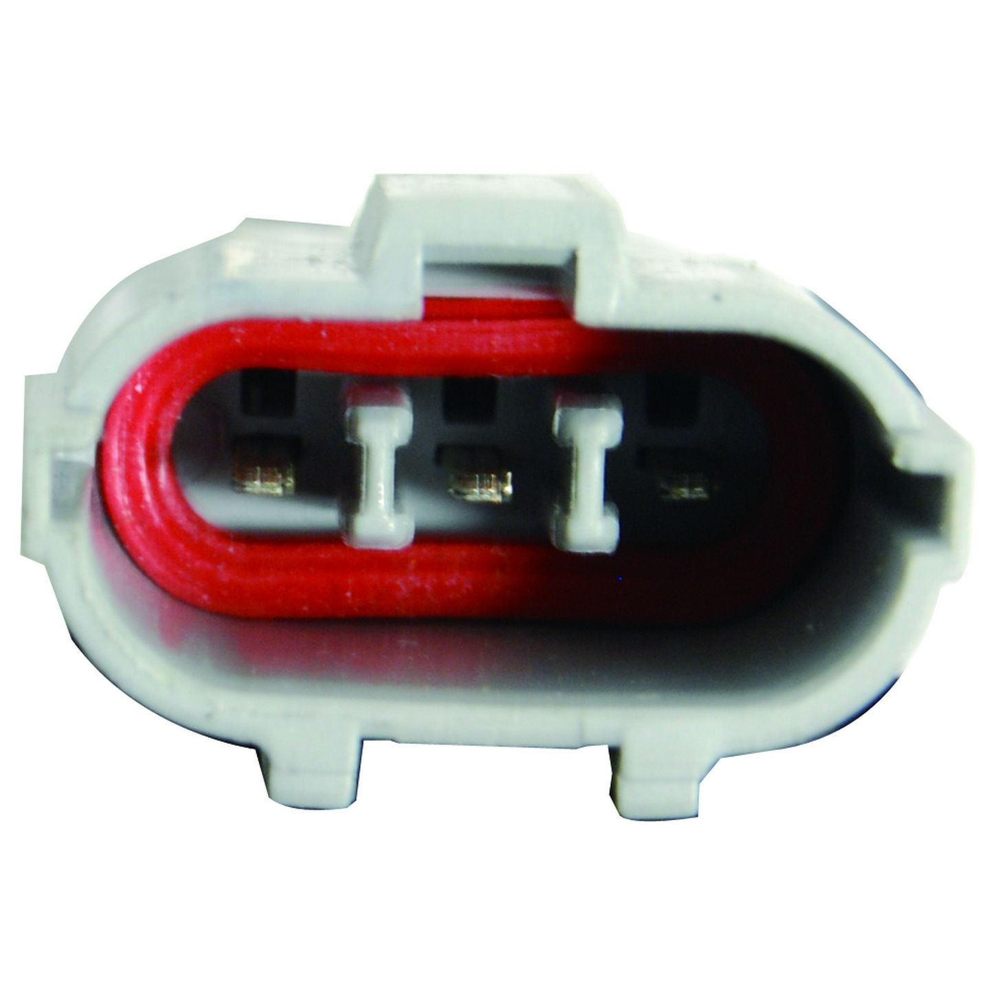 CUF176 CON