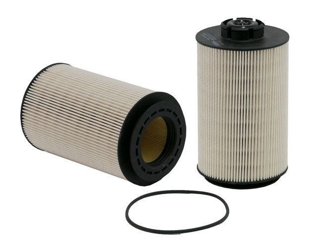WF10164.jpg
