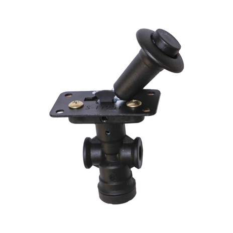S-16117 v1