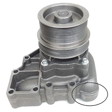 RW6090.jpg