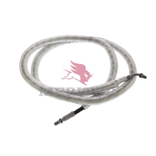 4526980070 photo front 156778