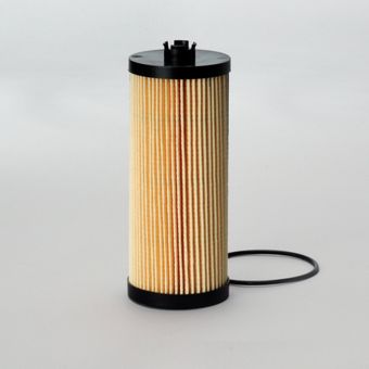 p550761.jpg