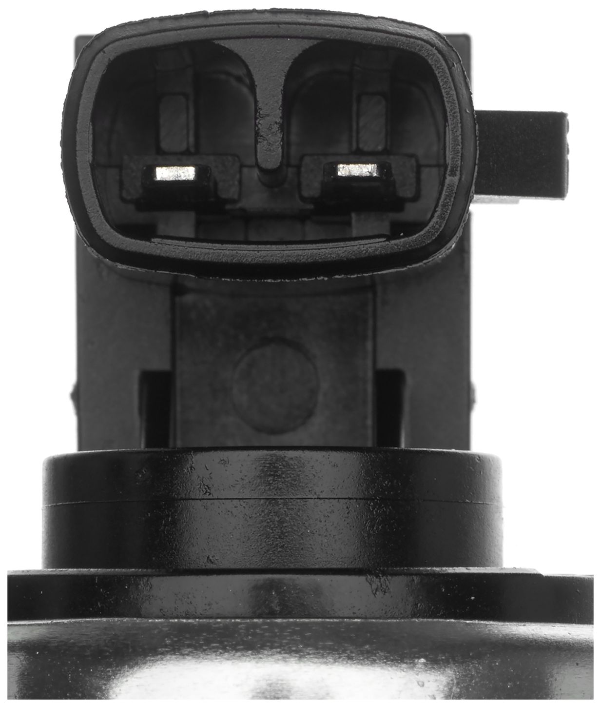 VVS257-3_CON_A.jpg