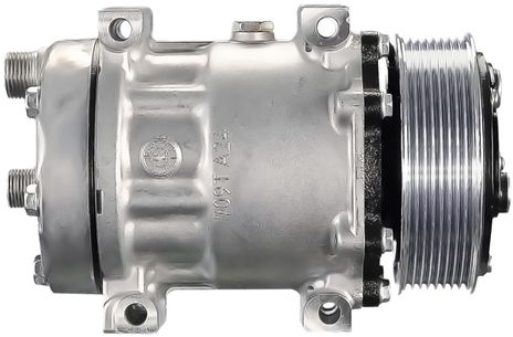 54404