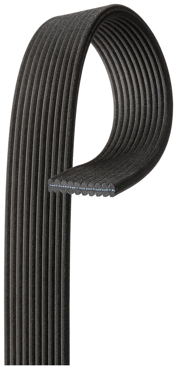 serpentine-beltimage-DK100672-DK100743-DK100744.jpg