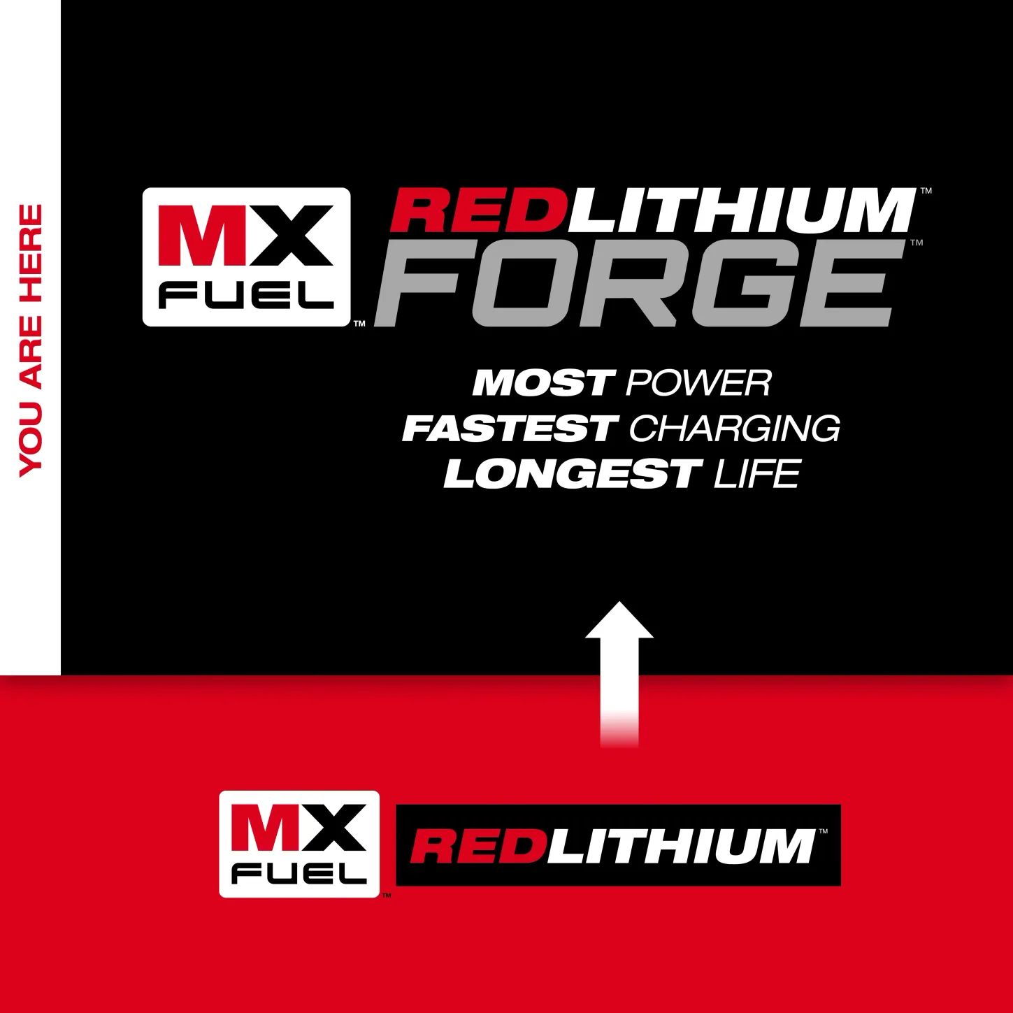 MXFXC608 3