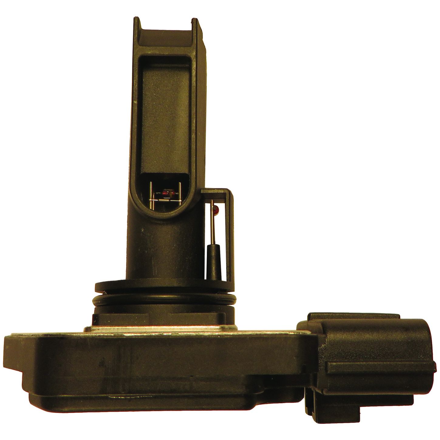 MAF10143 SID