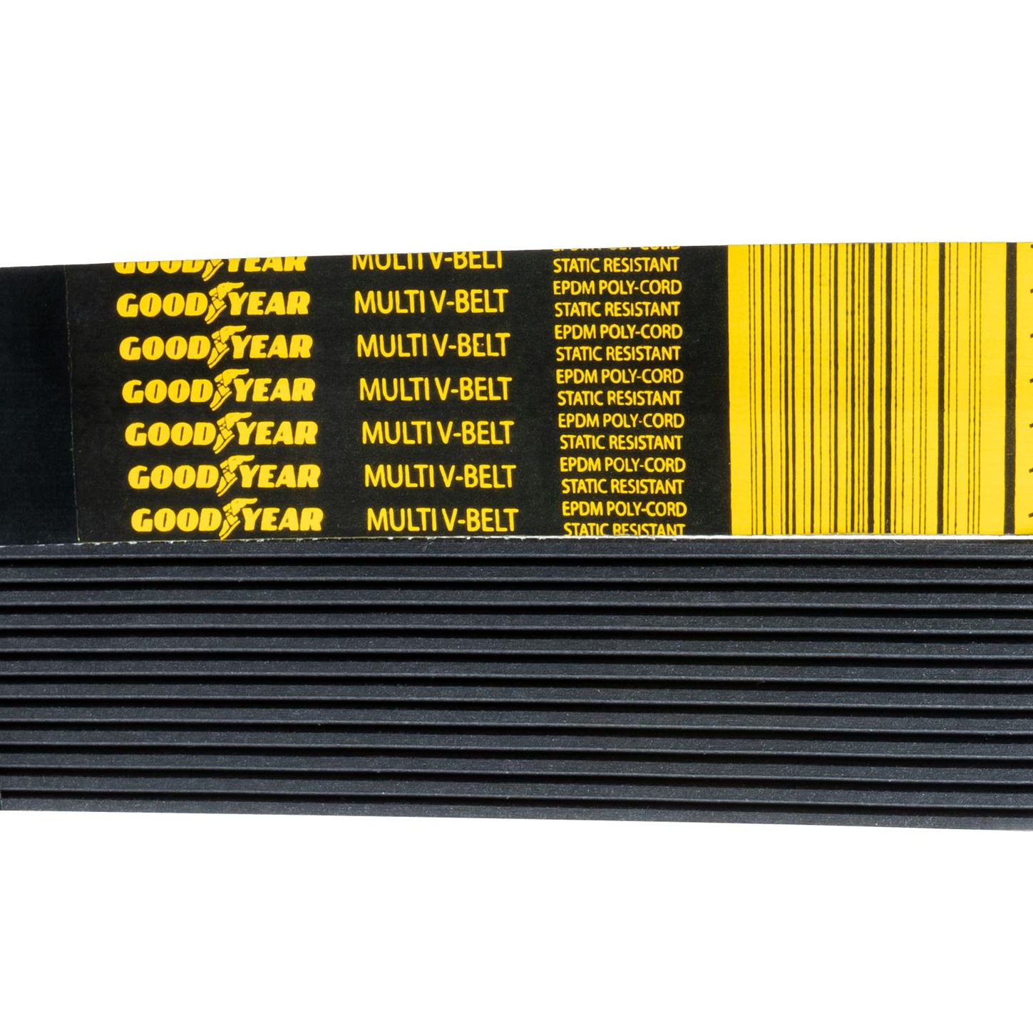 12PK-Close-Up-Belt-2