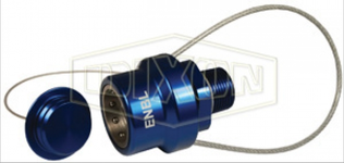 ENBL-P5