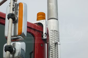 10013631 1