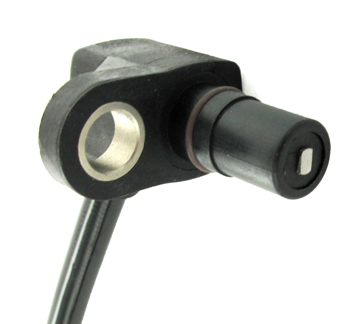 SC097_2.JPG