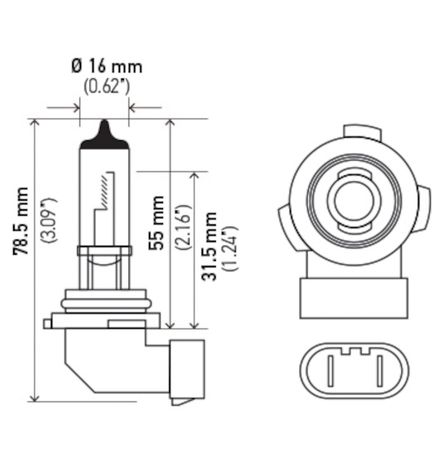 H71071252.PT01.jpg