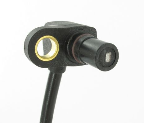 SC346_2.JPG