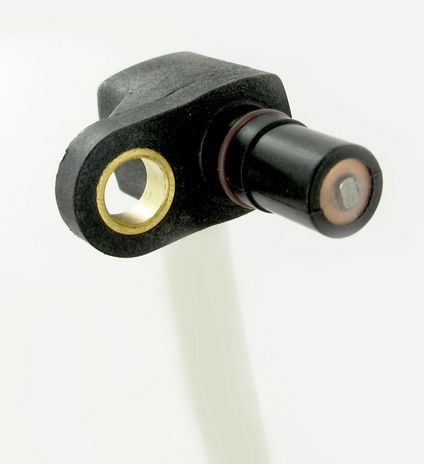 SC4526_2.JPG