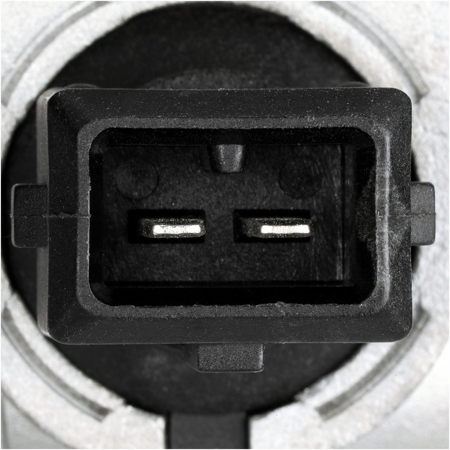 34245-4_CON_A.jpg