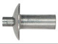 DR101270613