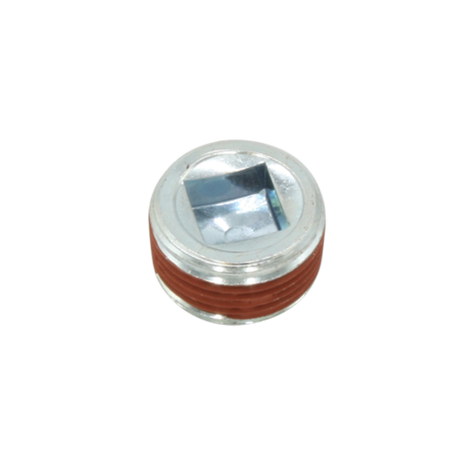 S-21818 v1