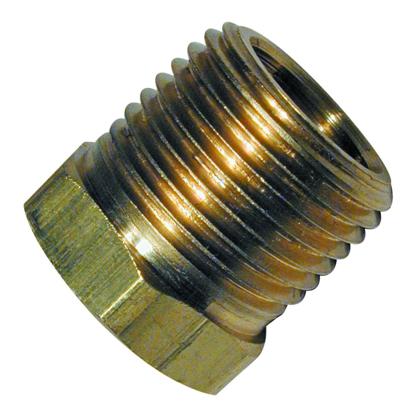 AMFL348F_1_x-large.jpg