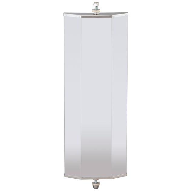 door-mirror-16023.jpg