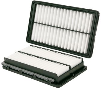 WA11090.jpg