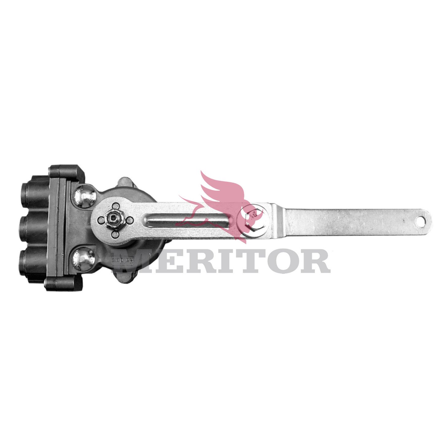 R3013920