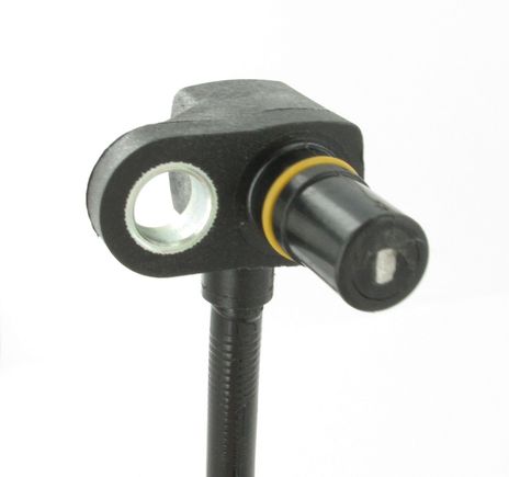 SC502_2.JPG