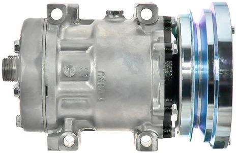 54402