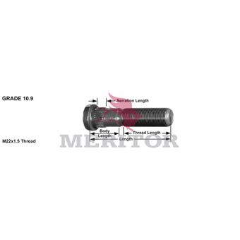 R005997 photo front 113276